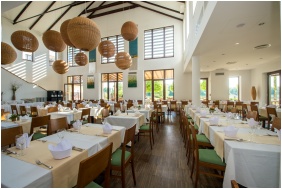 Tisza Balneum Thermal Hotel - Tiszafured, Besprechungsraum