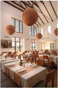Tisza Balneum Thermal Hotel - Tiszafured, Becken