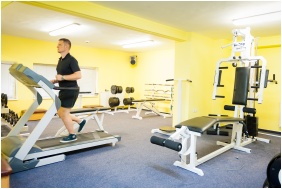 Sprudelbad, Vertes Conference & Wellness Hotel, Siofok