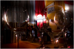 Vertes Conference & Wellness Hotel, Restaurant