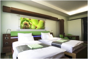 Twın room