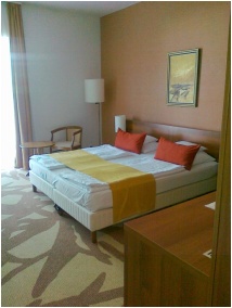 Zenit Hotel Balaton, Vonyarcvashegy, Sauna