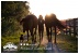 Horse riding - Abbazia Country Club