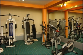 Alfa Hotel, Fitness terem