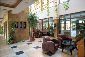 Hotel Aquarell, Hall