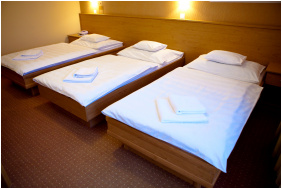 - Granada Konferencia Wellness és Sport Hotel