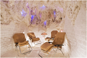 Danubius Health Spa Resort Sárvár, - Sárvár