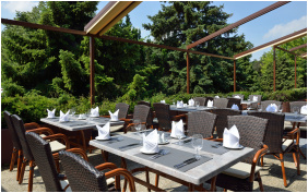 Danubius Health Spa Resort Sárvár, Terasz - Sárvár