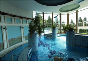 Danubius Health Spa Resort Aqua Hévíz, Élménymedence