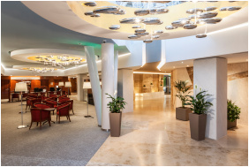 Danubius Health Spa Resort Aqua Hévíz, Hall
