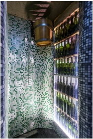 Zuhanyzó, Hotel Korona Wellness, Rendezvény & Borhotel Eger, Eger