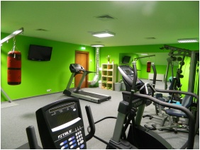 Hotel Magyar Kiraly, Fitness room