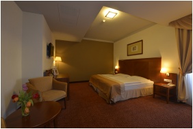 Hotel Magyar Kiraly, Superior room - Szekesfehervar