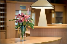 Recepció