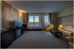 Suite - Hotel Narad & Park