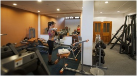 Hotel Villa Volgy, Eger, Fitnessraum