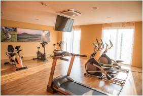Jufa Vulkán Fürdő Resort, Fitness terem