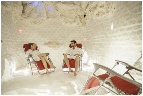 Thermal Hotel Visegrád,