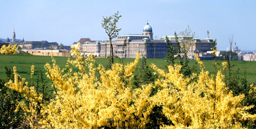 Budapest Panorama Pictures - From Gellert Hill